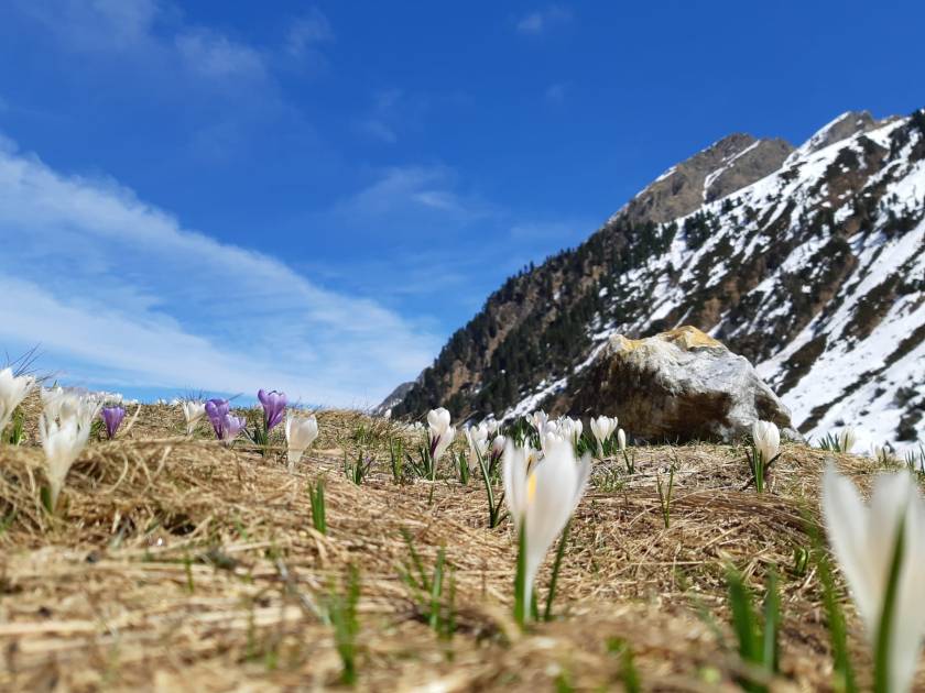 WhatsApp Image 2020-04-17 at 09.52.44